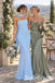 Sky Blue Chiffon Pleated Strapless Halter Sash Floor Length Mermaid Bridesmaid Gown, SFWG00716