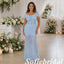 Romantic Pale Blue Chiffon Lace Fitted Formal Mother Of The Bride Gown, SFM020