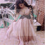 Dusty Pink V-neck Long Sleeve Chiffon Popular Prom Dresses Online,PD0112
